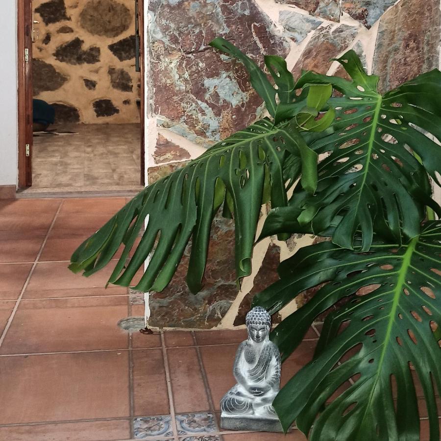 Casa Ada Villa Tejeda  Dış mekan fotoğraf